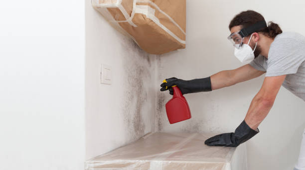 Professional Mold Remediation technician working in Roanoke, TX