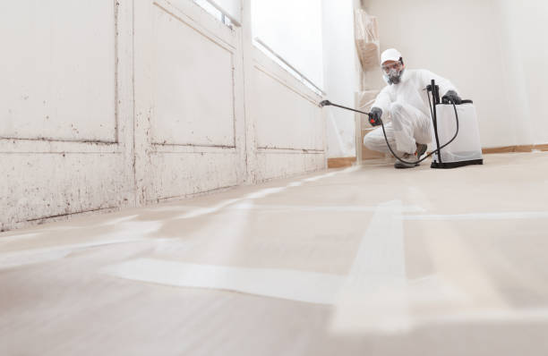 24/7 Emergency Mold Remediation experts in Roanoke, TX