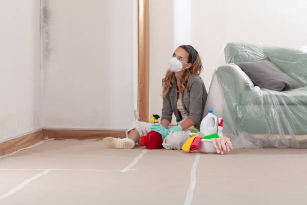 Reliable Mold Remediation contractor in Roanoke, TX by 24 Hour Mold Removal